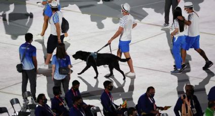 Lomitos olímpicos: perros guías desfilan en los Juegos Paralímpicos Tokio 2020