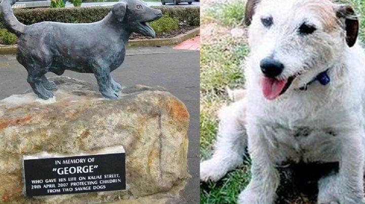 Día del perro: La estatua de George, perrito que salvo niños de ataque de pitbulls
