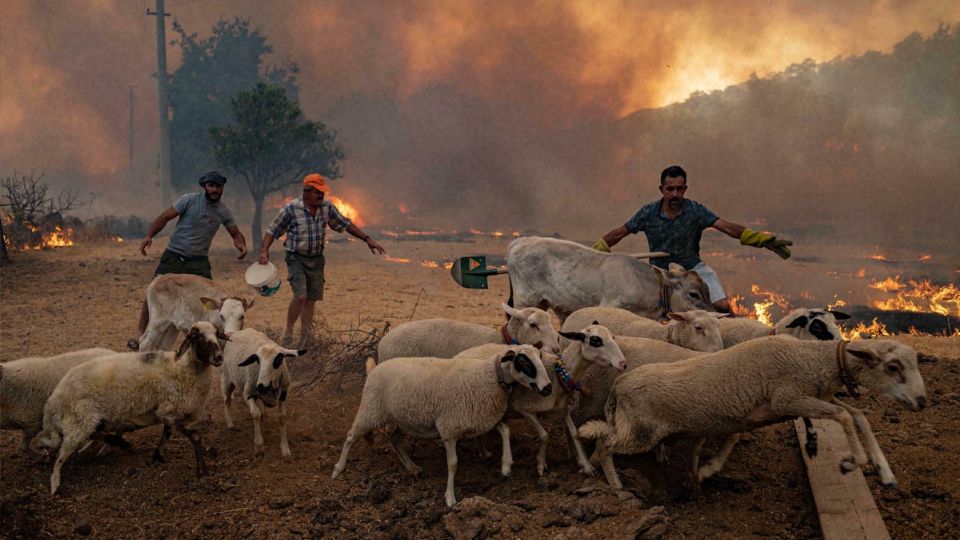 La historia del granjero llamado Tarim, es similar a la que relatan otros testigos del incendio.