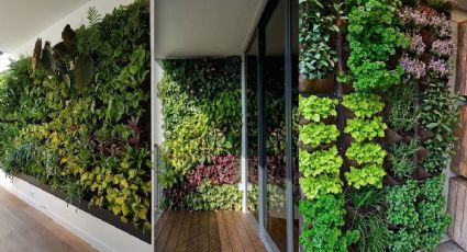 Jardín vertical, ideal para llenar de vida espacios reducidos