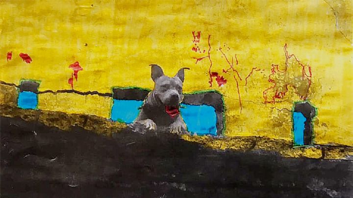 Semillero Creativo de Nuevo Laredo: Es tiempo de cosechar