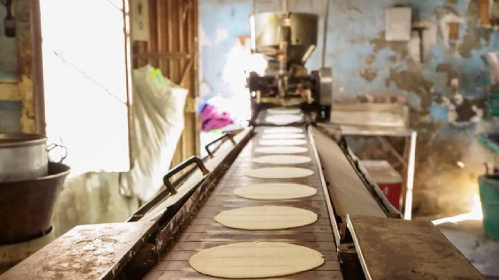Por tope del gobierno en el costo de gas, kilo de tortilla bajaría de precio en Tamaulipas