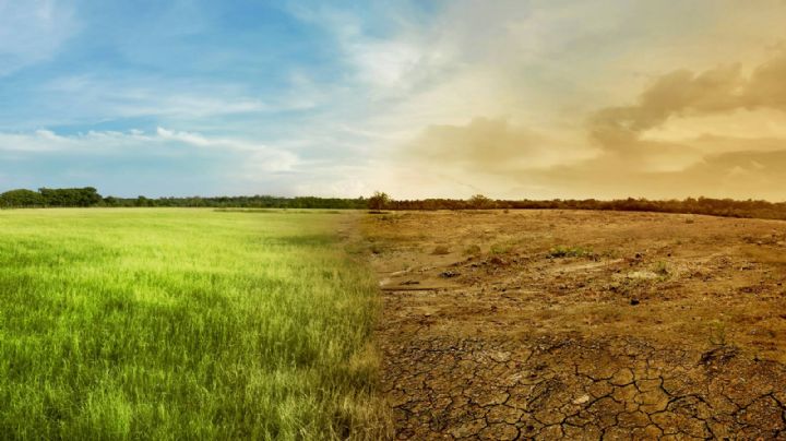 Calentamiento global en 2040: Graves consecuencias por aumento de 1.5 °C de la temperatura