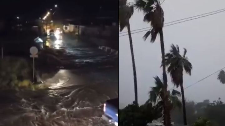 VIDEOS: Huracán Olaf toca tierra en Baja California Sur