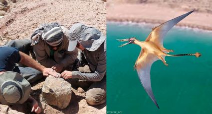 FOTOS: Científicos identifican restos de 'dragón volador' del periodo Jurásico