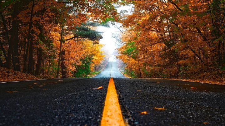 ¡Adiós al verano! ¿Cuándo inicia el otoño 2021 en el hemisferio norte?