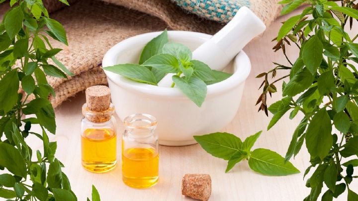 La aromaterapia, pilar de la medicina natural moderna