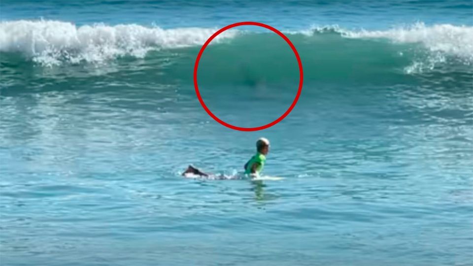 Un menor estuvo a punto de ser atacado durante una competencia de surf