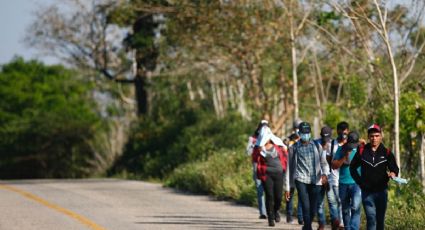 COMAR: Solicitudes de asilo en México rompen marca histórica; son 77 mil