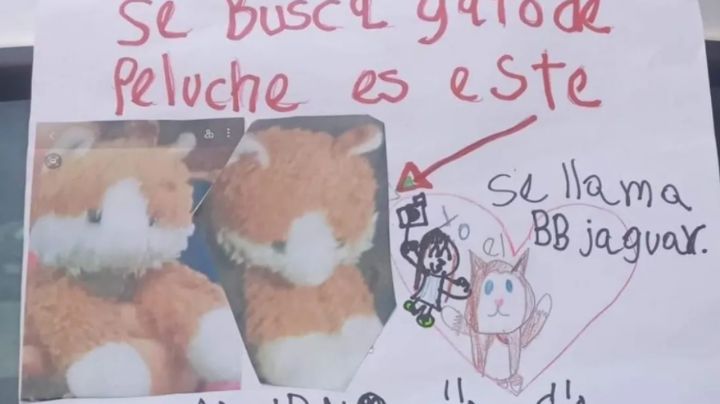¿Lo has visto? Niña realiza cartel para encontrar su peluche; lo perdió en la CDMX