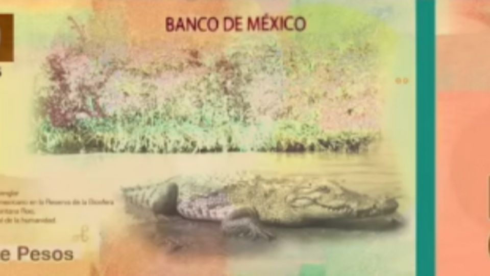 El Banco de México presenta el nuevo billete.