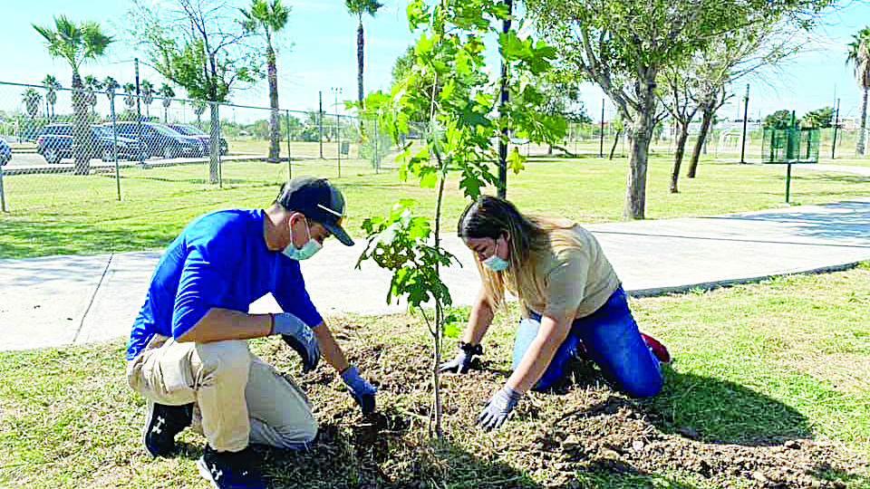 Fueron 10 los árboles que se plantaron en el Parque Polvo Enamorado.