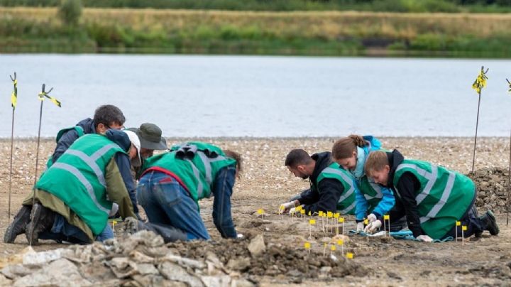 FOTOS: Encuentran restos de un ictiosaurio o “dragón marino” en Reino Unido