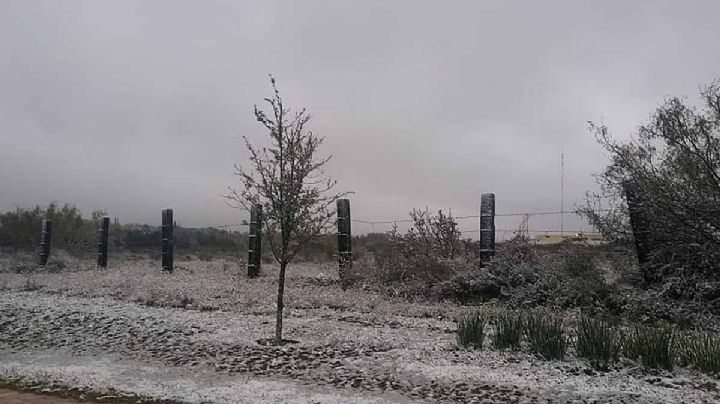 Saque doble cobija: se acerca tormenta invernal con presencia de aguanieve