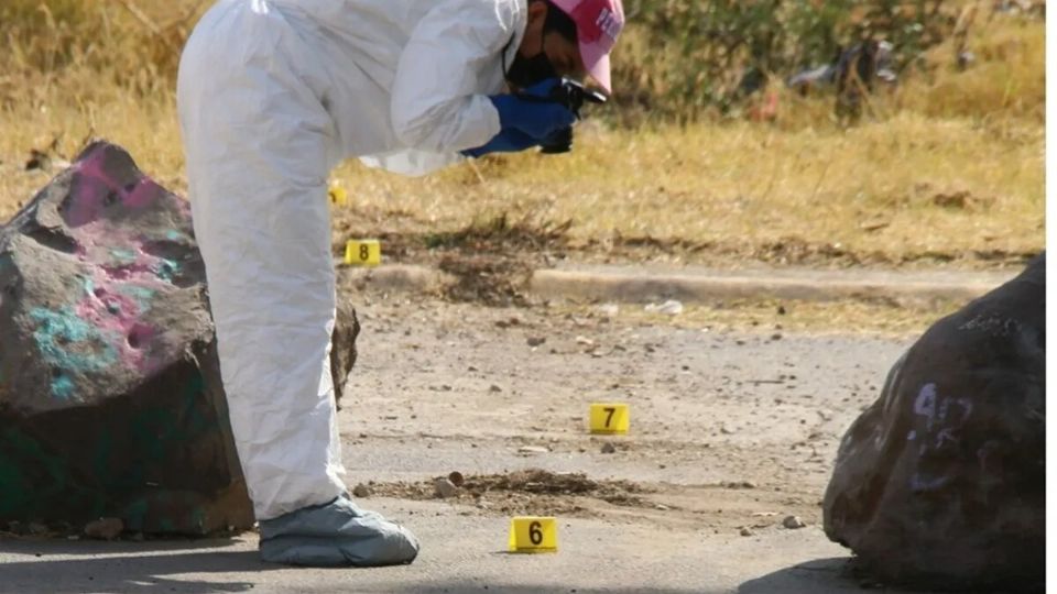 Una de ellas todavía estaba viva. Fueron abandonadas dentro de dos bolsas de plástico