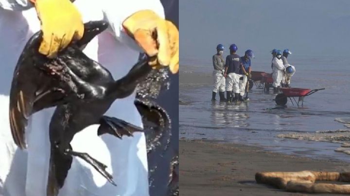 FOTOS: Desolador panorama tras derrame de petróleo en área protegidas de Perú