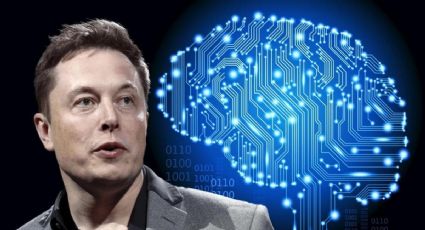 Elon Musk se prepara para la implantación de microchips en cerebros humanos