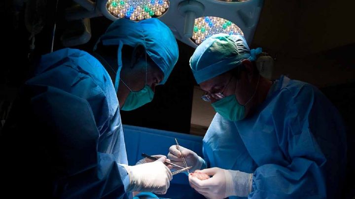 En 2021 IMSS realizó mil 791 trasplantes de órganos y tejidos, y aumentó su productividad en 212%