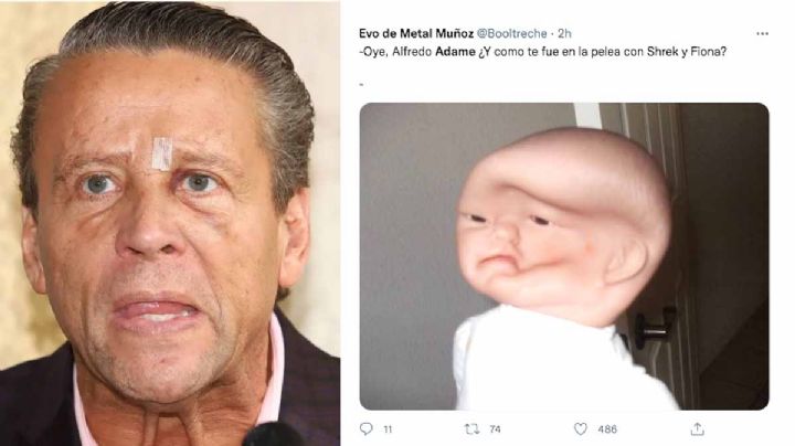 Los mejores memes de la pelea de Alfredo Adame
