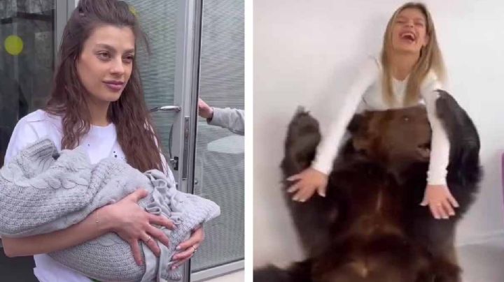 VIDEO: TikToker rusa lleva a su casa un oso de verdad a su bebé y expone su vida