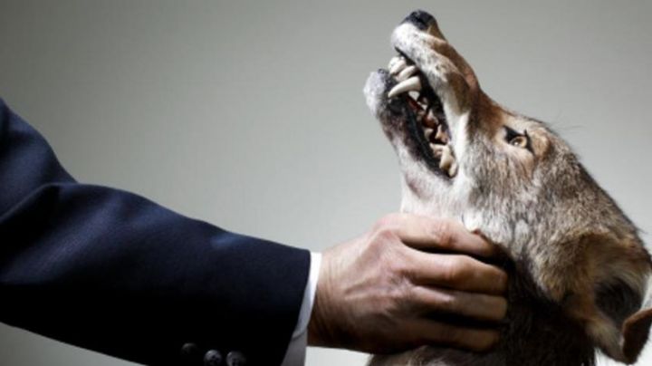 Detienen a presunto culpable de disparar a dos lomitos en EDOMEX