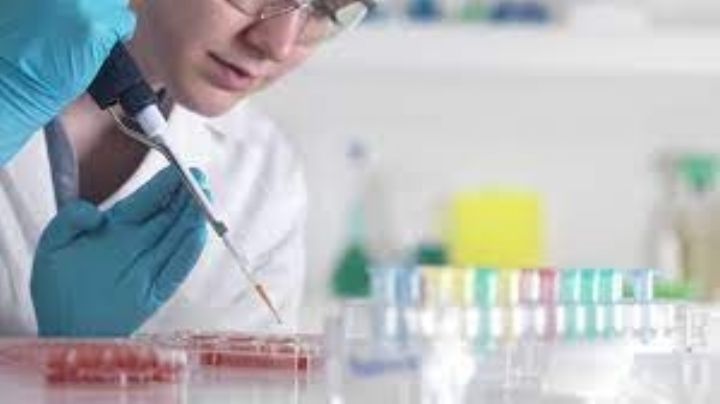 ¡Buenas noticias! Crean primera prueba rápida para detectar cualquier tipo de Cancer