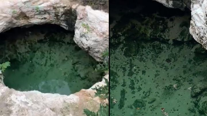 Viralizan Costco con cenote en Mérida