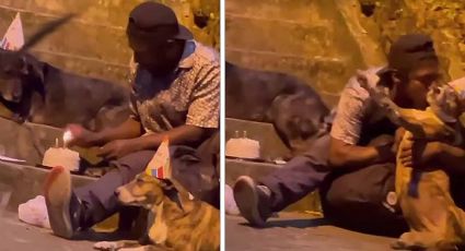 VIDEO: indigente celebra su cumpleaños junto con sus perritos, con pastel y gorritos