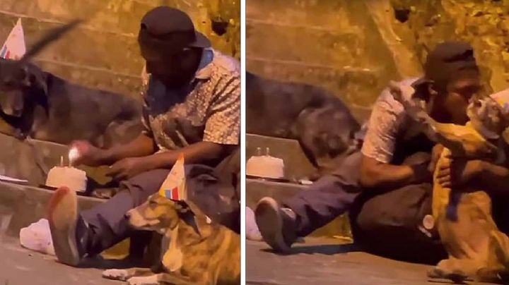 VIDEO: indigente celebra su cumpleaños junto con sus perritos, con pastel y gorritos
