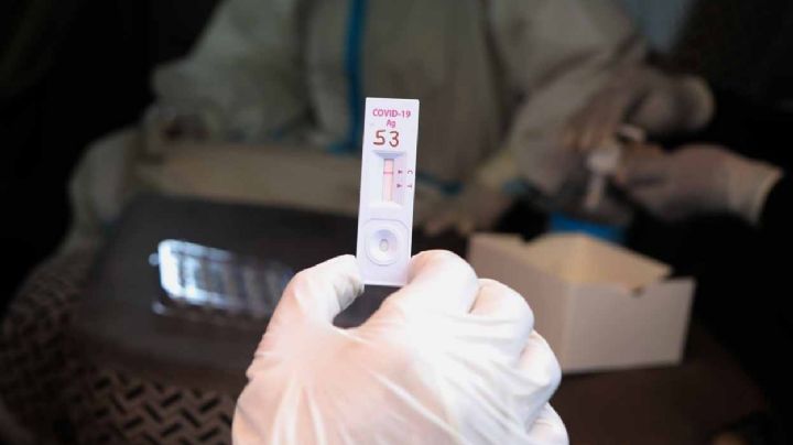¿Son confiables son las pruebas rápidas Covid-19 para detectar Omicron?