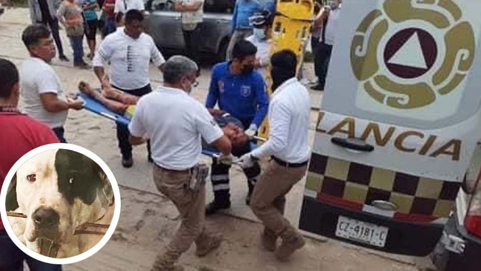 Se llevaron al ladrón