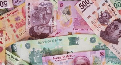 Cómo identificar si un billete es falso