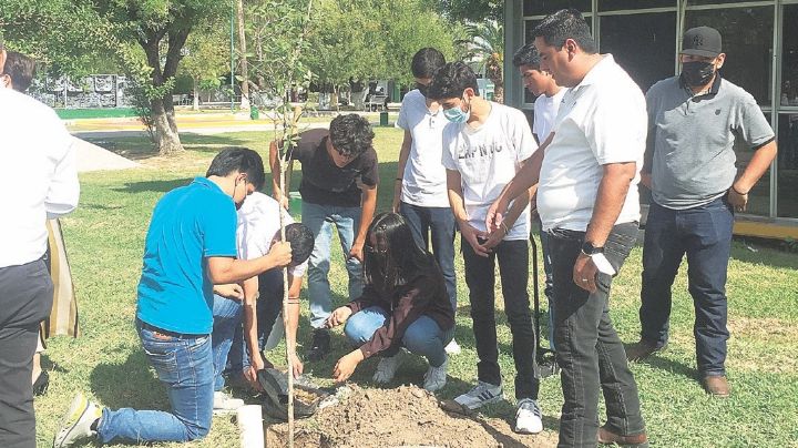Repone Tec árboles dañados por tromba