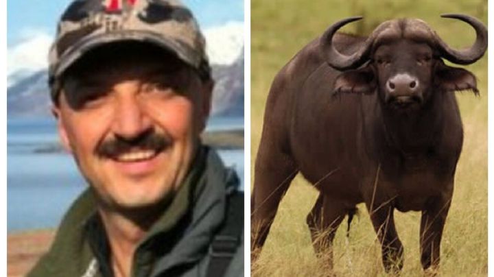 La verdad del ataque del búfalo que mató a un cazador mexicano | VIDEO