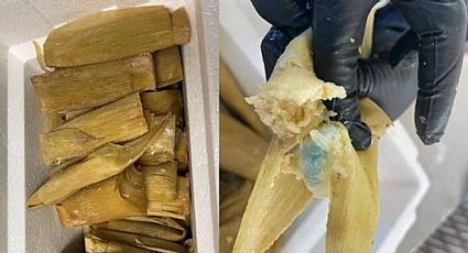 Confiscan en la frontera deliciosos tamales rellenos de ¡fentanilo!