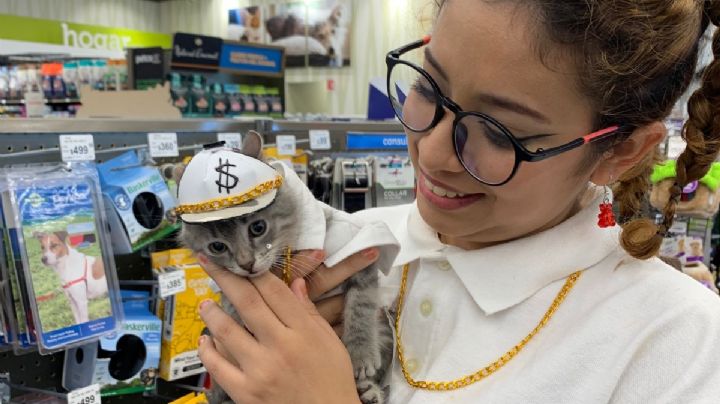 Gatito se disfraza de los Kumbia Kings y gana concurso de disfraces en Nuevo Laredo