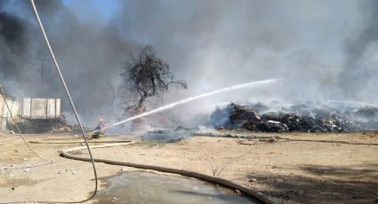 Megaincendio está controlado: Protección Civil | FOTOS