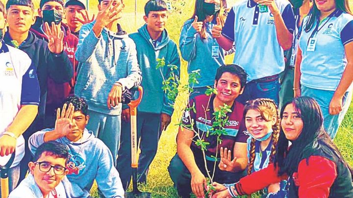 Fomentan forestación en el Cobat 23