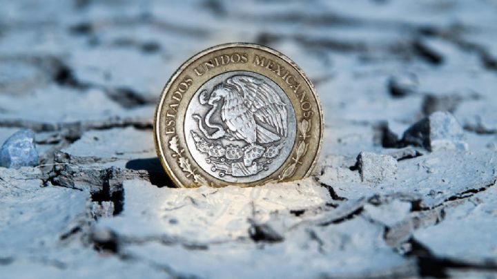 Por esta moneda de 20 ofrecen casi medio millón de pesos | FOTO