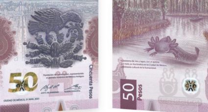 Por billete de 50 con el 'ajolotito' ofrecen hasta 900 mil pesos si tiene estas letras | FOTO