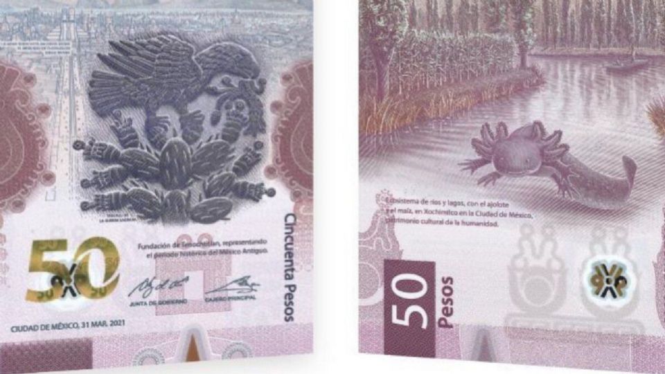 Más allá de su apreciada belleza, esta pieza guarda un potencial para convertirse en uno de los billetes más caros de México