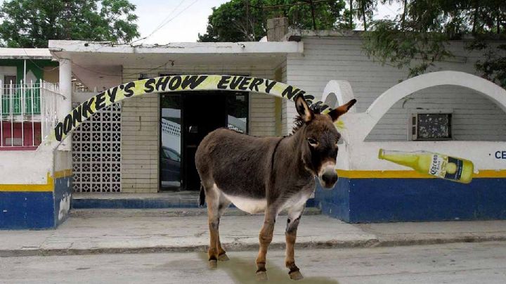Donkey show: la leyenda urbana de Nuevo Laredo | VIDEO