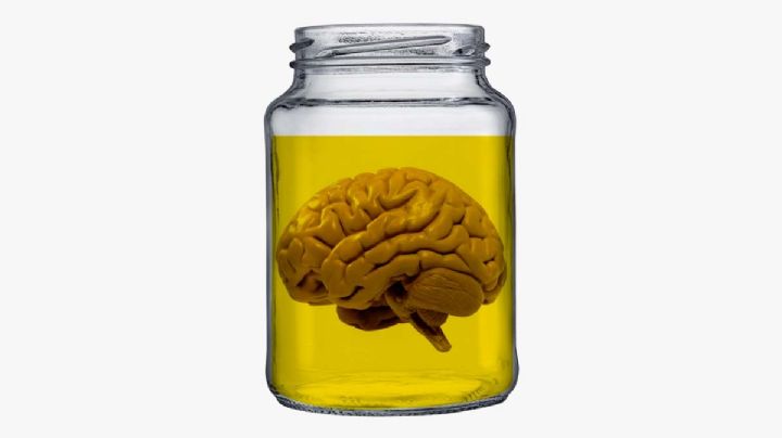 Cerebro de Jeffrey Dahmer: conservado para darle trato especial