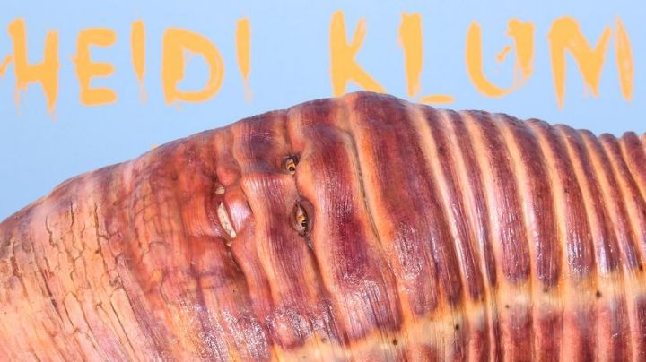 Heidi Klum gana Halloween con su impactante disfraz | VIDEO