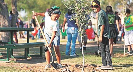 Llaman a reforestar Nuevo Laredo