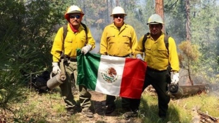 ¿Eres paisano? Ya puedes tener IMSS si trabajas en el extranjero | Detalles aquí