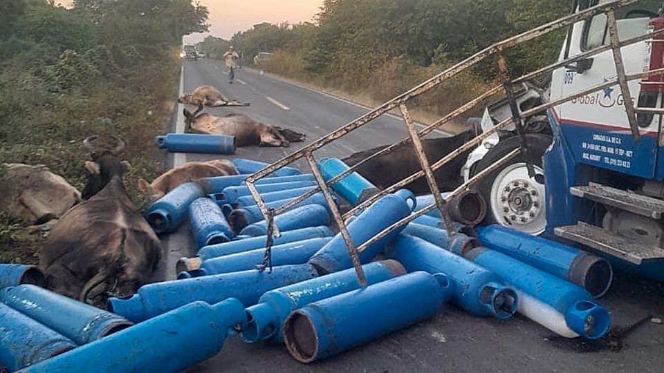 Quedaron esparcidos en el asfalto