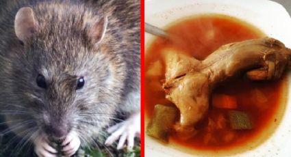 Caldo de rata de monte, platillo de García, Nuevo León. ¿Cómo se prepara?