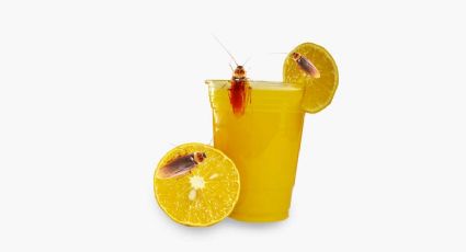 Jugo de cucaracha con naranja se viraliza en redes | VIDEO