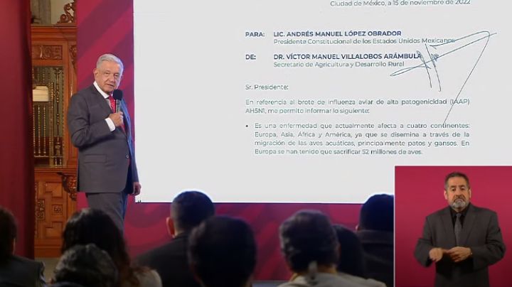 Gripe Aviar no representa amenaza en México: AMLO